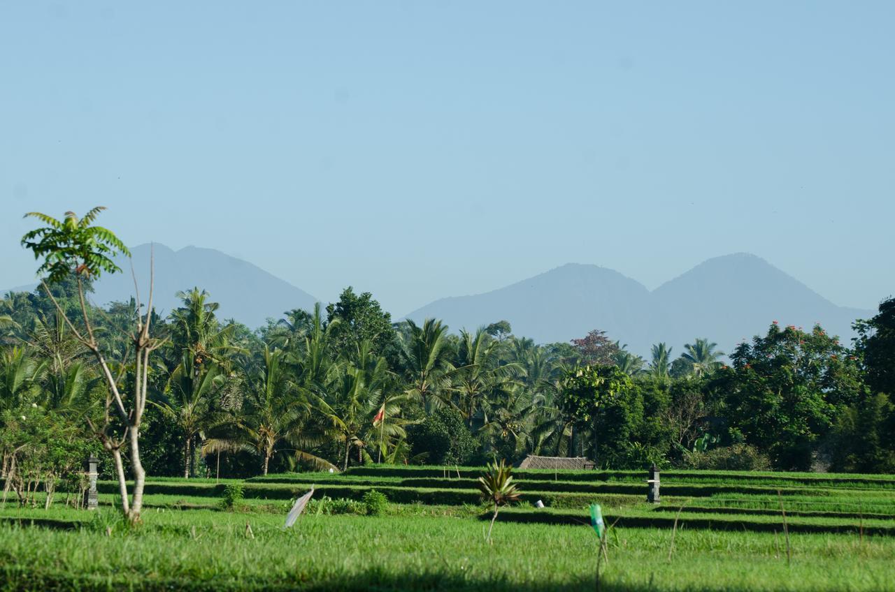 Cenik Villa Ubud Zewnętrze zdjęcie