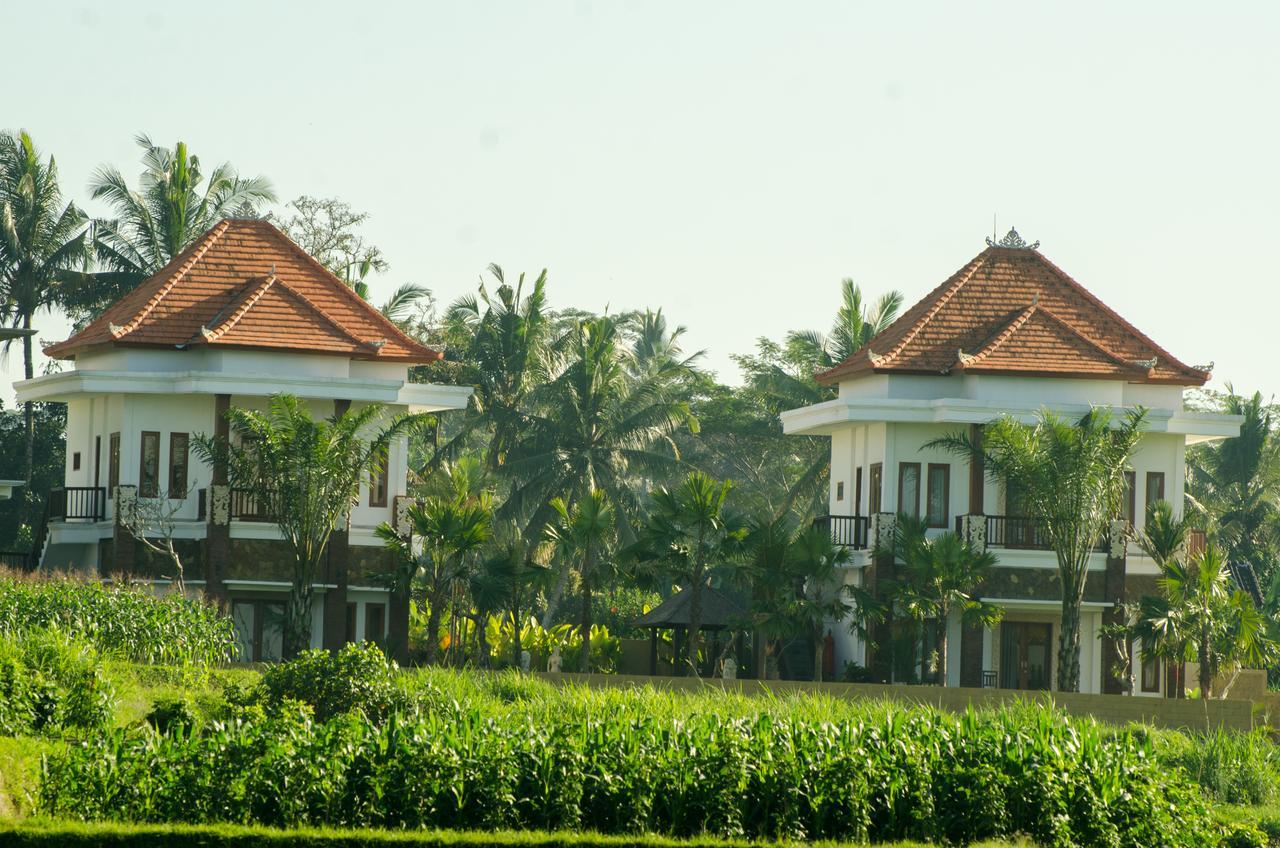 Cenik Villa Ubud Zewnętrze zdjęcie