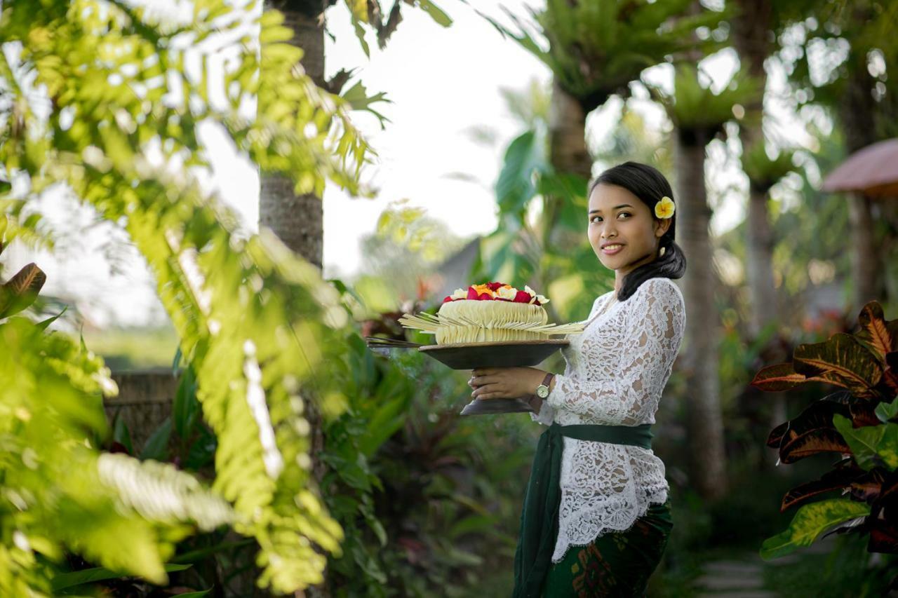 Cenik Villa Ubud Zewnętrze zdjęcie