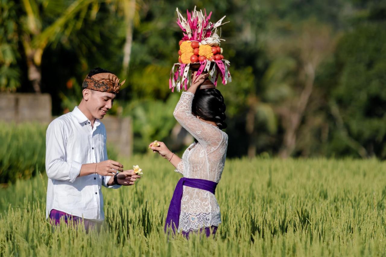 Cenik Villa Ubud Zewnętrze zdjęcie