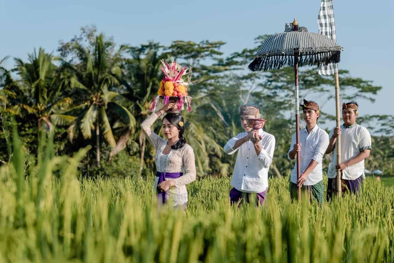 Cenik Villa Ubud Zewnętrze zdjęcie