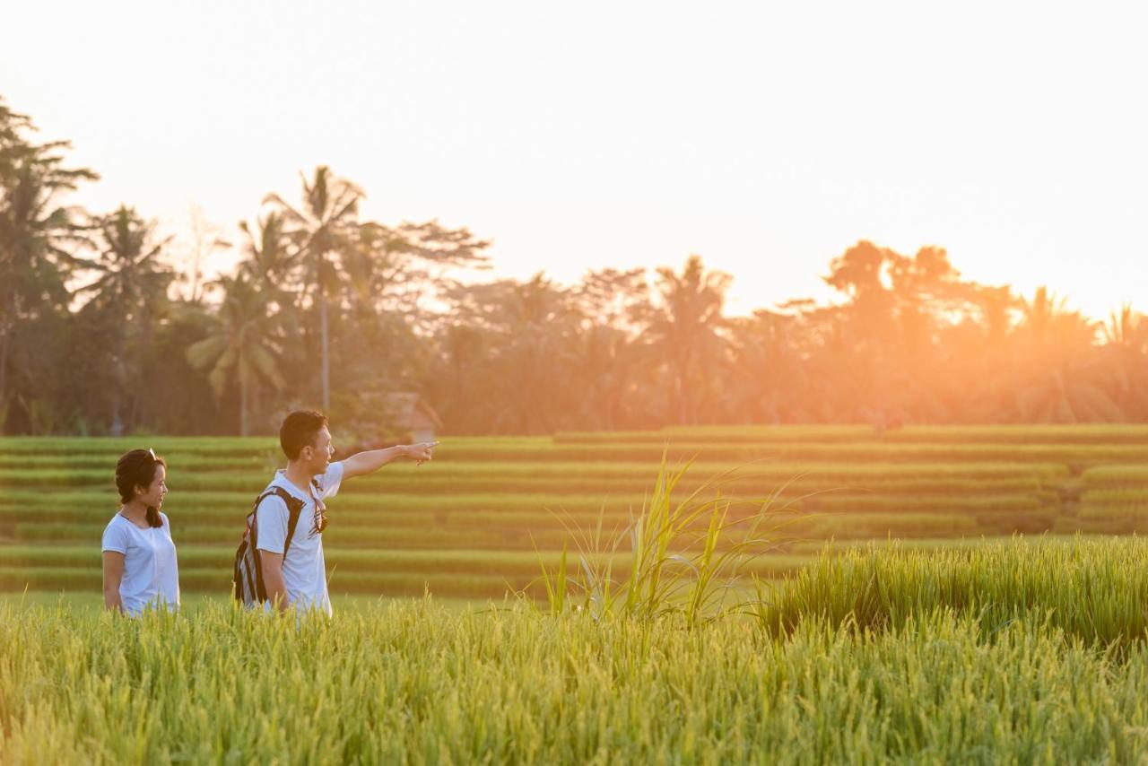 Cenik Villa Ubud Zewnętrze zdjęcie