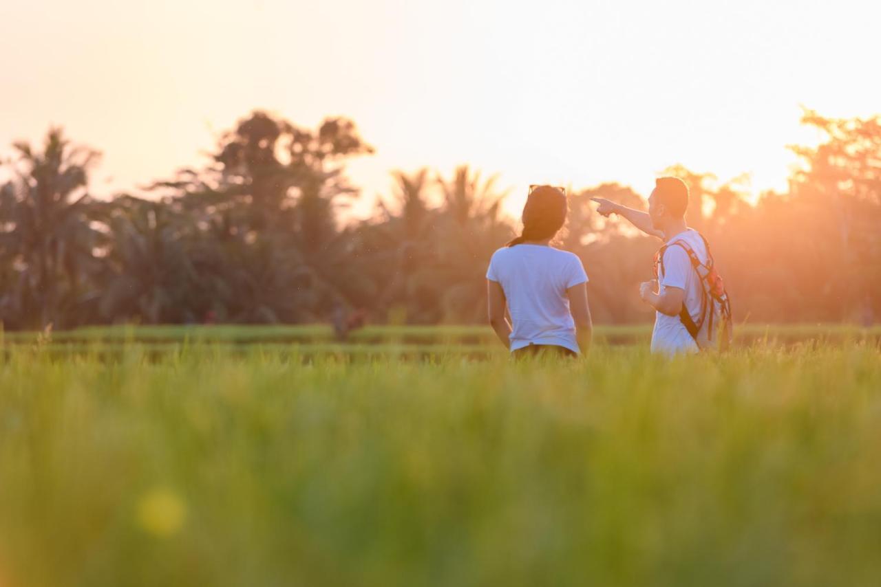 Cenik Villa Ubud Zewnętrze zdjęcie
