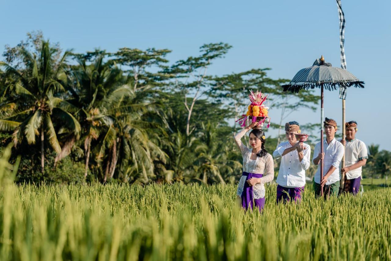 Cenik Villa Ubud Zewnętrze zdjęcie