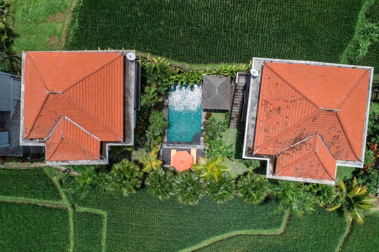 Cenik Villa Ubud Zewnętrze zdjęcie